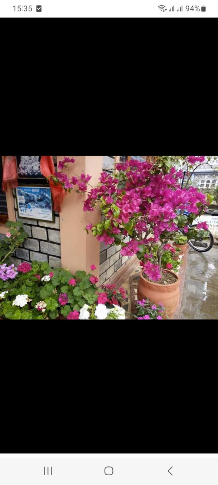 Galaxy Inn Guest House Pokhara Ngoại thất bức ảnh